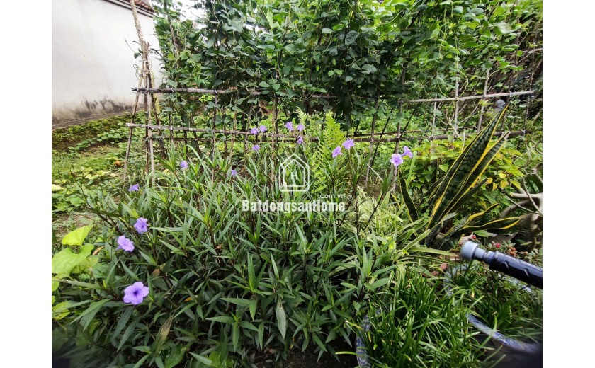 BÁN ĐẤT VĨNH TRUNG – GẦN HỒ – NGÕ NÔNG – GIÁ TỐT! HƠN 3 TỶ